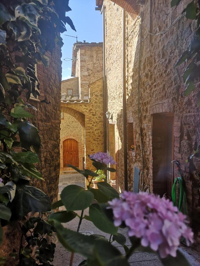 Antico Borgo Di Torri Bed & Breakfast Sovicille Exterior photo