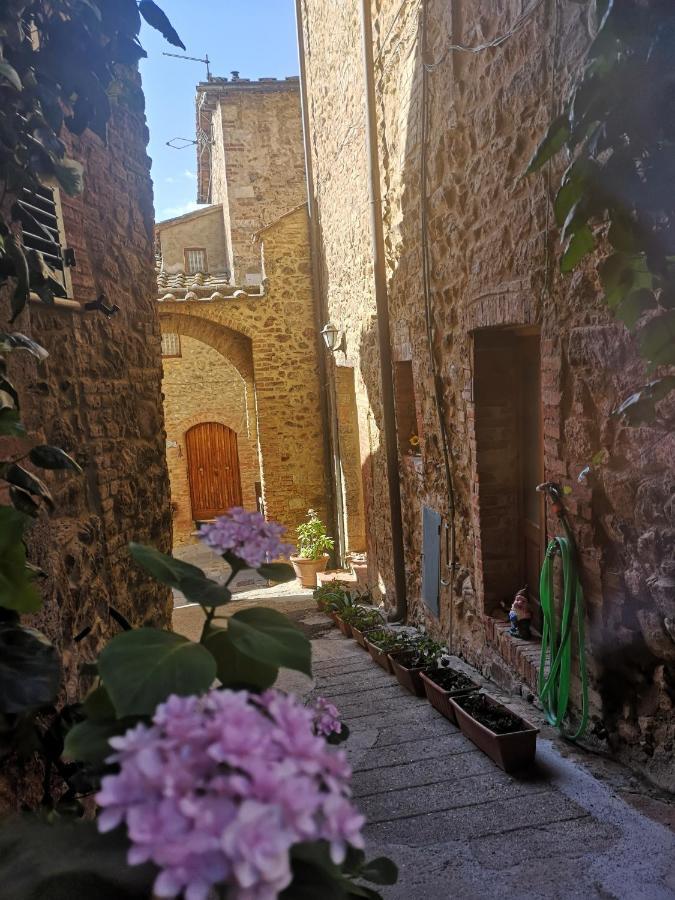 Antico Borgo Di Torri Bed & Breakfast Sovicille Exterior photo